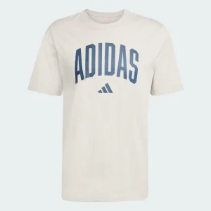 Adidas T-Shirt Collegiate M JM6415
