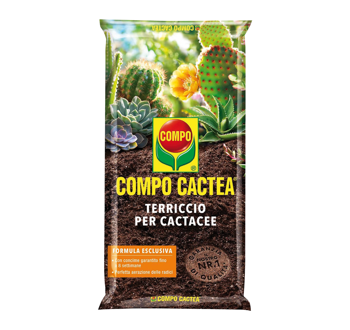 Compo Cactea